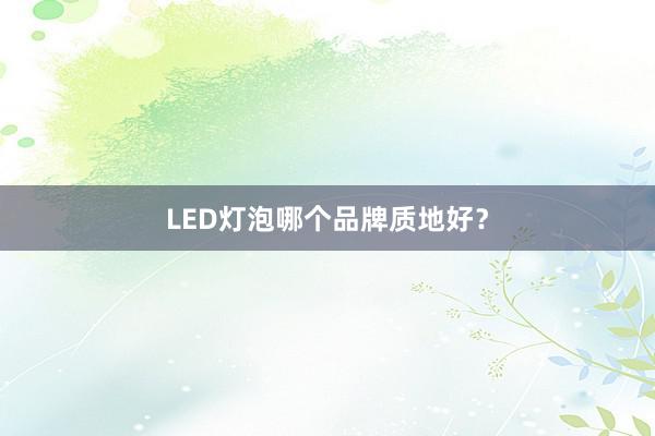LED灯泡哪个品牌质地好？