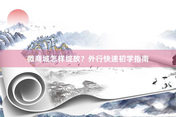 微商城怎样绽放？外行快速初学指南
